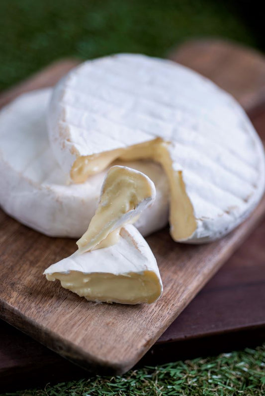 Gallo Camembert Cheese