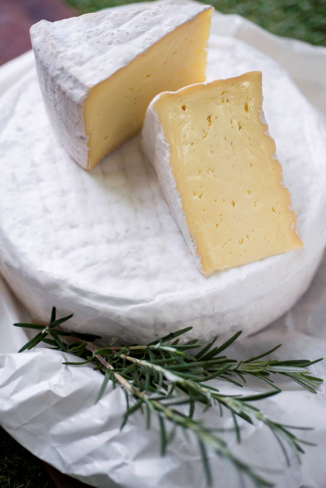 Gallo Baci (Brie) Cheese